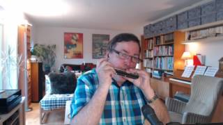 Tie A Yellow Ribbon  Chromatic harmonica [upl. by Shum]