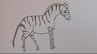 how to draw zebra easy zebra drawing for beginners step by step [upl. by Akeirahs]