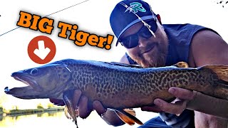 Shore Fishing Albertas Busiest Lake for BIG Trout pt2 [upl. by Janella]