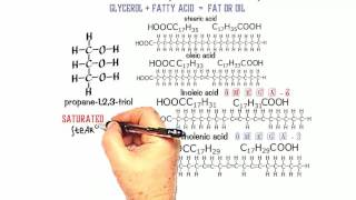 Esters 3 Structure of Fats and Oils [upl. by Tandy]