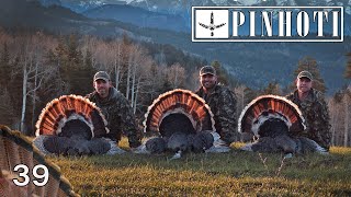 COLORADO MERRIAMS  3 GOBBLERS 3 HUNTS 1 DAY  the BEST DAY OF TURKEY HUNTING Pinhoti 2021 [upl. by Nary]