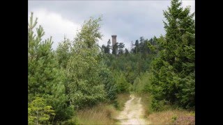 Jeanne Demessieux Rorate Caeli  Choral orné [upl. by Hansen]