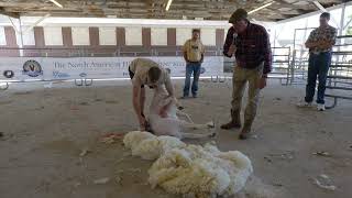 The Sheep Games Cammy Wilson Shearing Demo at the North American Hill Sheep Show [upl. by Narruc643]