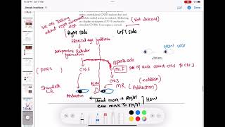 Internuclear ophthalmoparesis INO ophthalmology 33  First Aid USMLE Step 1 in UrduHindi [upl. by Cyndie634]