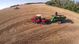 Pratt Kansas Wheat Harvest  June 2016 [upl. by Jard]