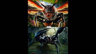 Scorpion vs Tarantula Hawk Wasp vs other Issects  Butterfly aunt Frog Spider  insects shorts [upl. by Lieberman]