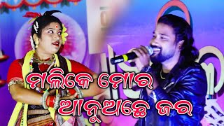 Mali ke Mor Anuche Jara Sambalpuri Song Maa Chardei Anchalik Loka Mohatsav 2024 Ashish Kumbhar [upl. by Sarson632]