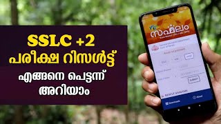 sslc result 2024 kerala  2 result 2024 kerala  kerala sslc result 2024  plus two result 2024 [upl. by Pammi]