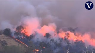 Más de 30 grandes incendios afectan a los estados de Oregón y California en Estados Unidos [upl. by Hortense]