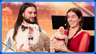 Ventriloquists Daniele amp Naimana sing OPERA with SHEEP  Auditions  BGT 2024 [upl. by Nylauqcaj]