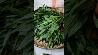 Leucas aspera recipe healthy medicated leafdurunsak shak easyrecipe duwankolosh [upl. by Malchus32]