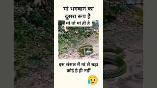 मां भगवान का दूसरा रूप हैfunny comedy maa share trend trending duet travel youtube facts [upl. by Cyprus]