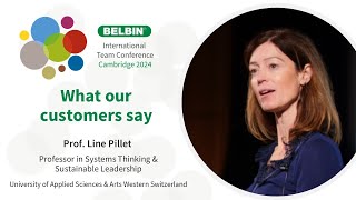 Belbin What our customers say  Prof Line Pillet HESSO ValaisWallis [upl. by Adala]