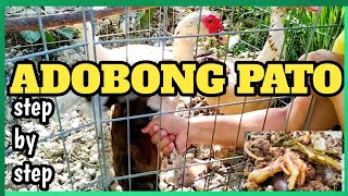 HOW TO COOK ADOBONG PATO [upl. by Raquela]