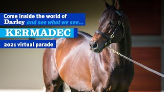 2021 Darley Australia Stallion Parade  Kermadec [upl. by Noremak739]