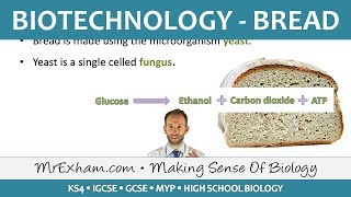 Food Production  Biotechnology  Bread  GCSE Biology 91 [upl. by Azriel941]