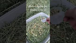 Yummy dog box🤍😋bunny digbox animals treats subscribe [upl. by Engud]