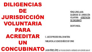 JURISDICCIÓN VOLUNTARIA PARA ACREDITAR UN CONCUBINATO  FORMATO EXPLICADO [upl. by Aonian]