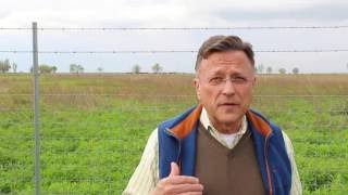 Welcoming Bison Back to Midewin National Tallgrass Prairie [upl. by Budworth]