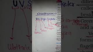 Chlorophyceaemineralnutritionshorttrickneetintermediatestudent [upl. by Nodnarbal773]