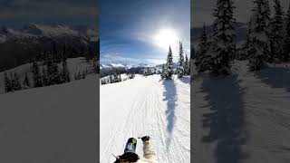 Do you tag markers  Whistler resort BC Canada [upl. by Varuag]