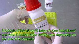 DNA isolation method DNA extraction method from one drop of blood Plasmid isolation Genekam [upl. by D'Arcy59]