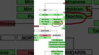 Basic facts about the Teochew language [upl. by Ahsinehs]