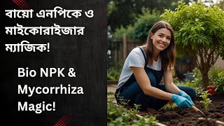 বায়ো এনপিকে ও মাইকোরাইজার ম্যাজিক  बायो एनपीके और माइकोराइज़ा का जादू  Bio NPK amp Mycorrhiza Magic [upl. by Blalock]