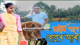 বাড়িৰ পাশে বেতেৰ আড়াBarir pase beter ara goalpariya songvillage comedy [upl. by Enrobialc]