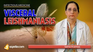 Visceral Leishmaniasis  Leishmania Donovani Disease  Medicine Lectures  VLearning [upl. by Halden]