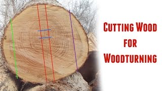 Cutting Logs into Turning Blanks  Part 1 [upl. by Orian]