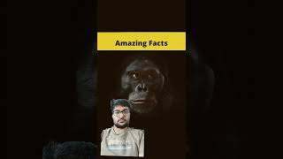 Top 3 real stories and facts 🤣🤣😮 MRINDIANHACKER CrazyXYZ  shorts  FactBeast [upl. by Enilekcaj]