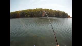 Merrill Creek Res52012 nice brown trout [upl. by Nahtanaoj345]