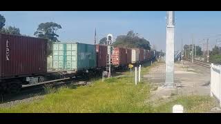 48153 G534 Swift Livery going pass Marrickville Station in September 2023 [upl. by Searby]