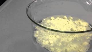 Surface Tension and Hydrogen Bonding Demonstration [upl. by Ynatsyd]