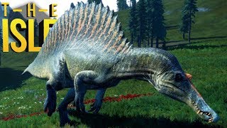 The Isle  Território Dos Spinosaurus Meu Novo Amigo  Dinossauros 181 GameplayPTBR [upl. by Norel429]