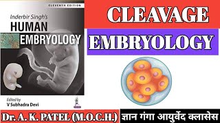 Embryology Cleavage and blastulation Bams first prof Dr Anil Kumar patel Mbbs Ncism easy trick [upl. by Nahallac]