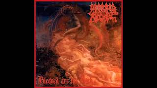 Morbid Angel  Blessed Are The Sick Full Album 1991 [upl. by Gascony]