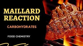 Maillard Reaction l Carbohydrates  Lesson 4 [upl. by Pliner582]