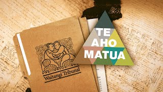 Govt breached Treaty principles in kura Aho Matua claim – report [upl. by Britney434]