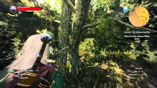 The Witcher 3 Wild Hunt CONTRACT THE APIARIAN PHANTOM  quest walkthrought [upl. by Nesyla]