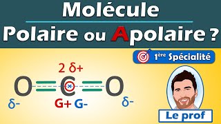 POLAIRE ou APOLAIRE  💡 méthodologie  molécule de dioxyde de carbone CO2  Physique Chimie  Lycée [upl. by Datnow51]