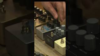 UA 1176 Studio Compressor Pedal in action universalaudio [upl. by Brocklin]