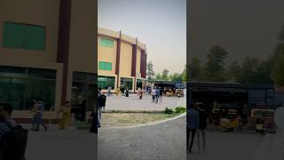 Numl numl numlian numluniversity youtubeshorts trending vlog foryou rawalpindi shortsreels [upl. by Abrahams]