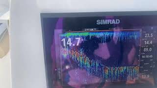 Simrad Active Imaging Transducer on a Simrad Go9 trial [upl. by Euqinoj]