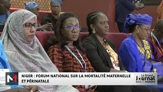 Niger  Forum national sur la mortalité maternelle et périnatale [upl. by Kayle538]