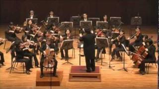 Haydn Cello Concerto in D Part 2 [upl. by Hayotal110]