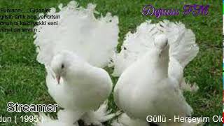 Dejavu🕊 FM • Canlı İstek Yayını  Online Radyo Dinle [upl. by Male]