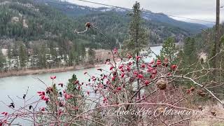 Orofino Idaho USA Spring time [upl. by Pamella]