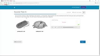 Pearson PTE  A  Scored Practice Test A Complete Scored Practice test  A Clip 1 [upl. by Roi]